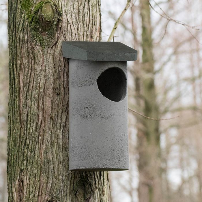tawny owl nest box